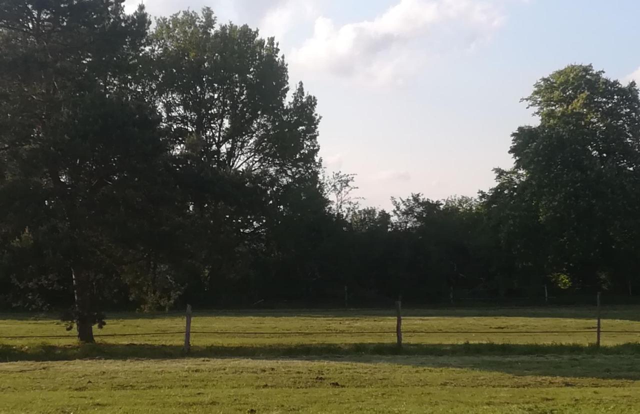 Saint-Romain-sur-Cher Les Pres Du Petit Morlu - Proche Beauval 빌라 외부 사진
