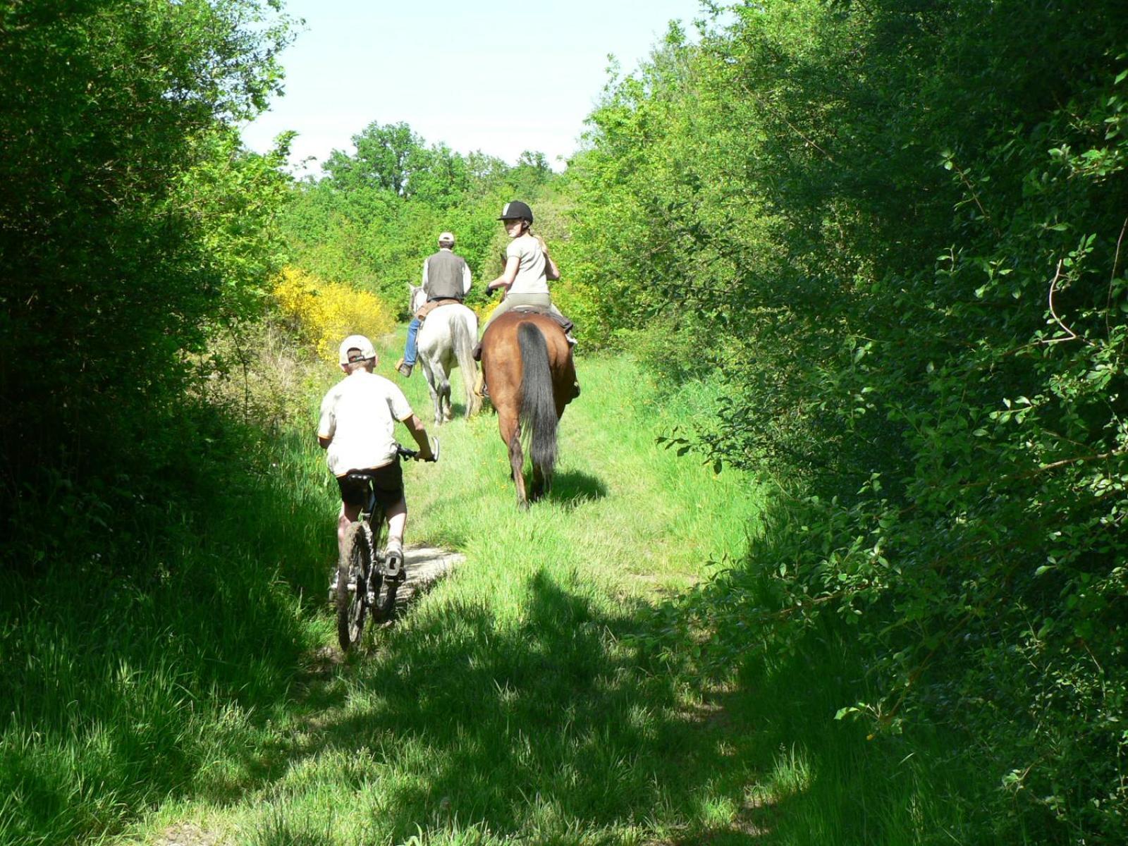 Saint-Romain-sur-Cher Les Pres Du Petit Morlu - Proche Beauval 빌라 외부 사진